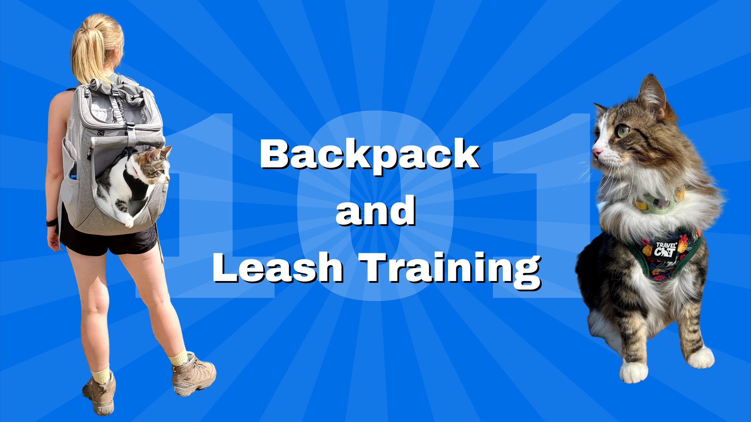 Backpack and Harness Training Tips at the Travel Cat Summit!