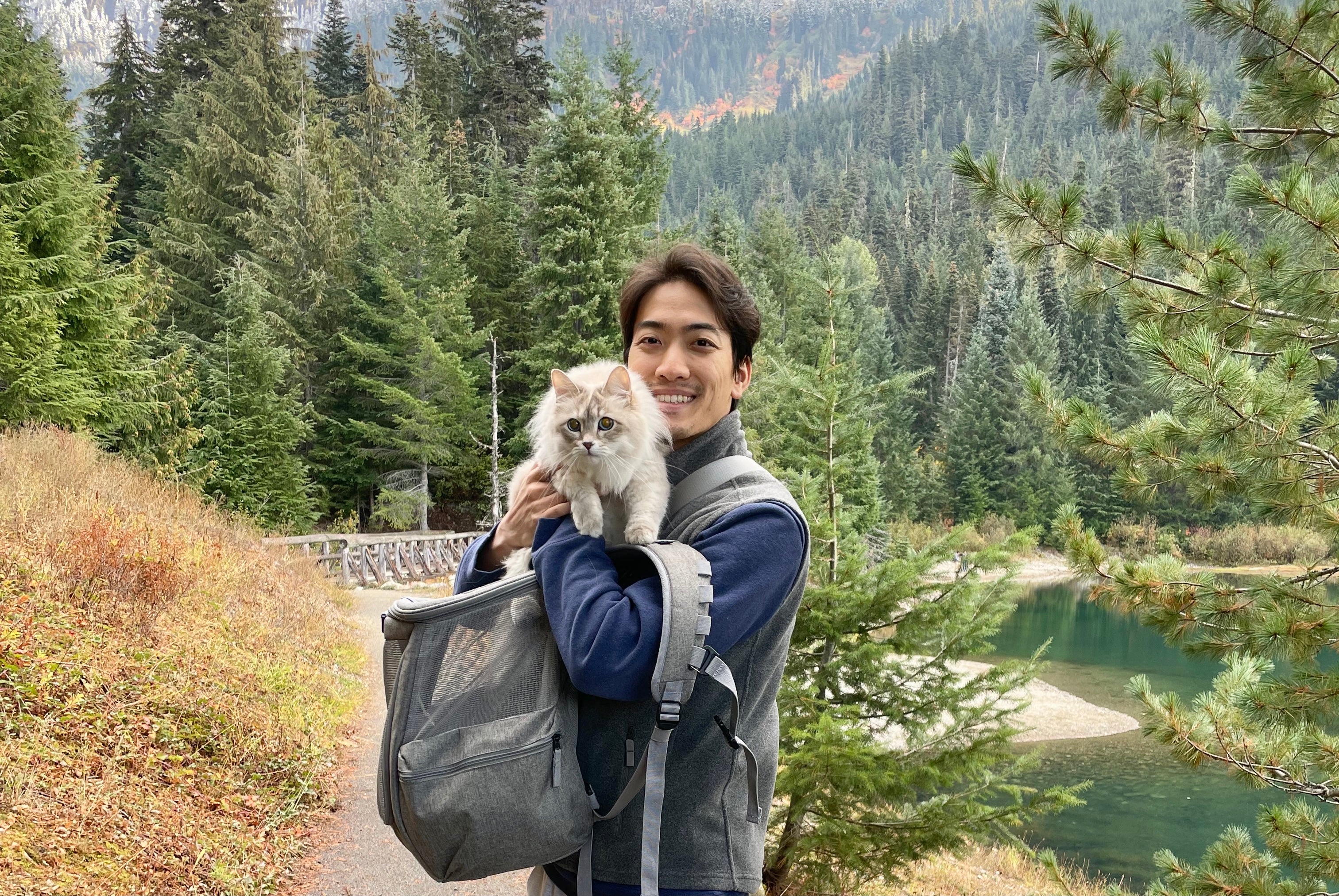 Travel Cat Tuesday: Ollie and Rosie, the Fluffiest Duo