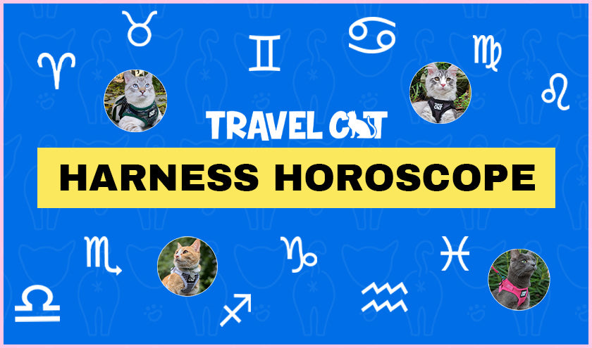 Travel Cat Astrology: Find Your Sign and Harness Style