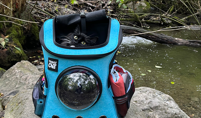 Get More Entries for The Forever Home Heroes $5K Giveaway!