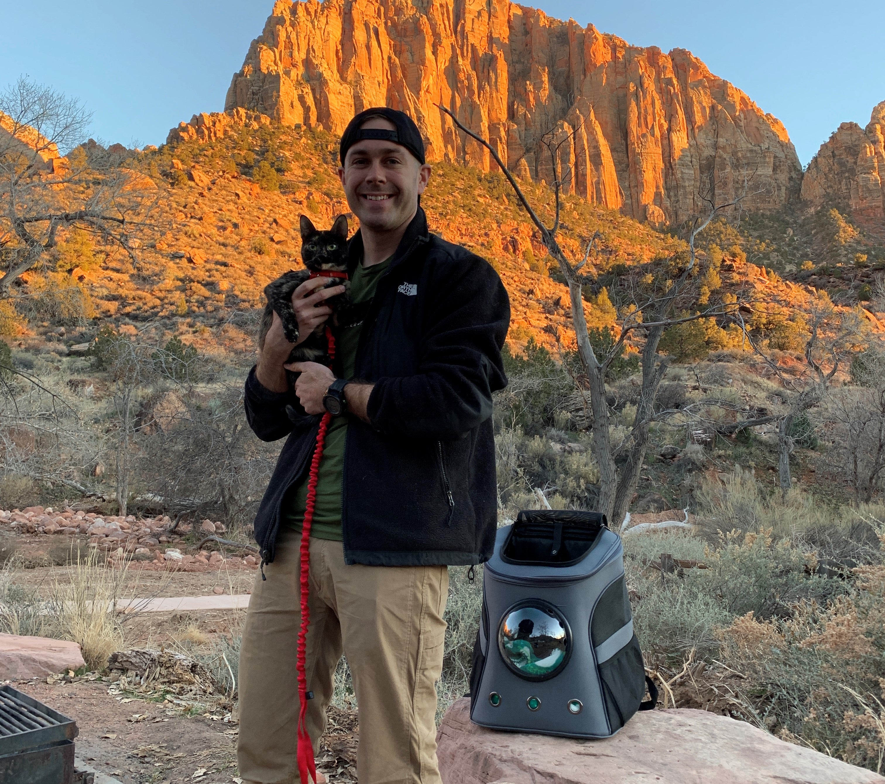 Scout: Your Cat Backpack Featured Feline