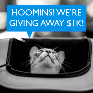 Nominate or Vote for a Forever Home Hero to Win a $1k Donation Plus  Prizes for You!
