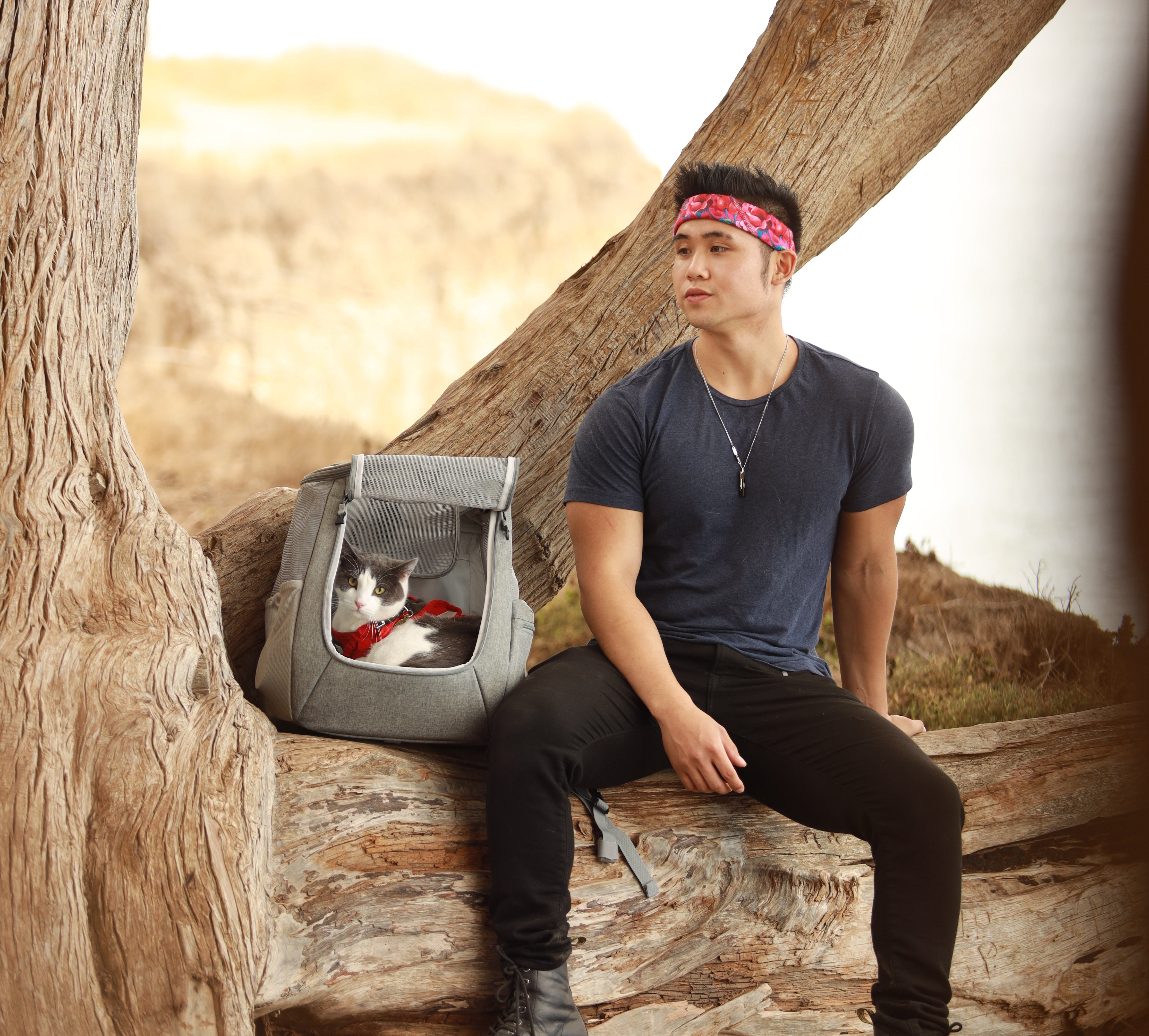 Travel Cat Tuesday: Meet Leo, an Adventure Cat who Hits the Gym