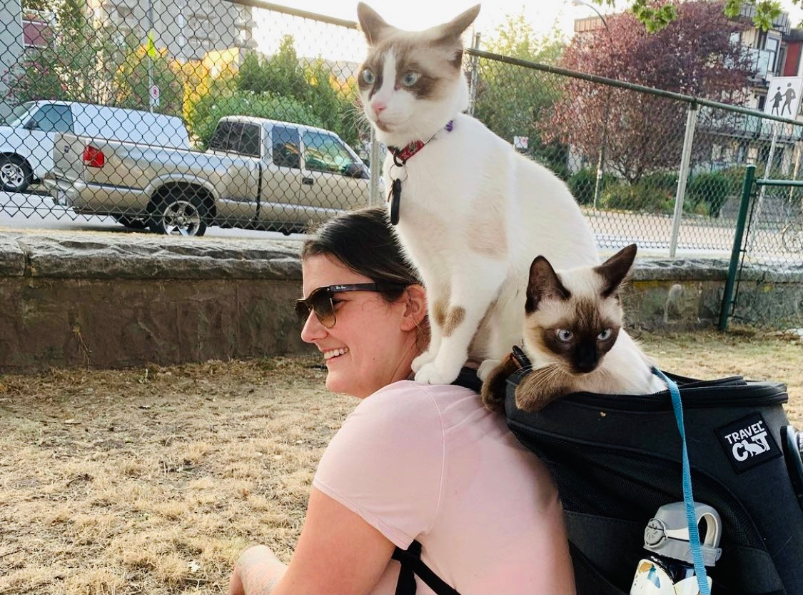 Travel Cat Tuesday: Alexis & David - Two Cats on One Adventure