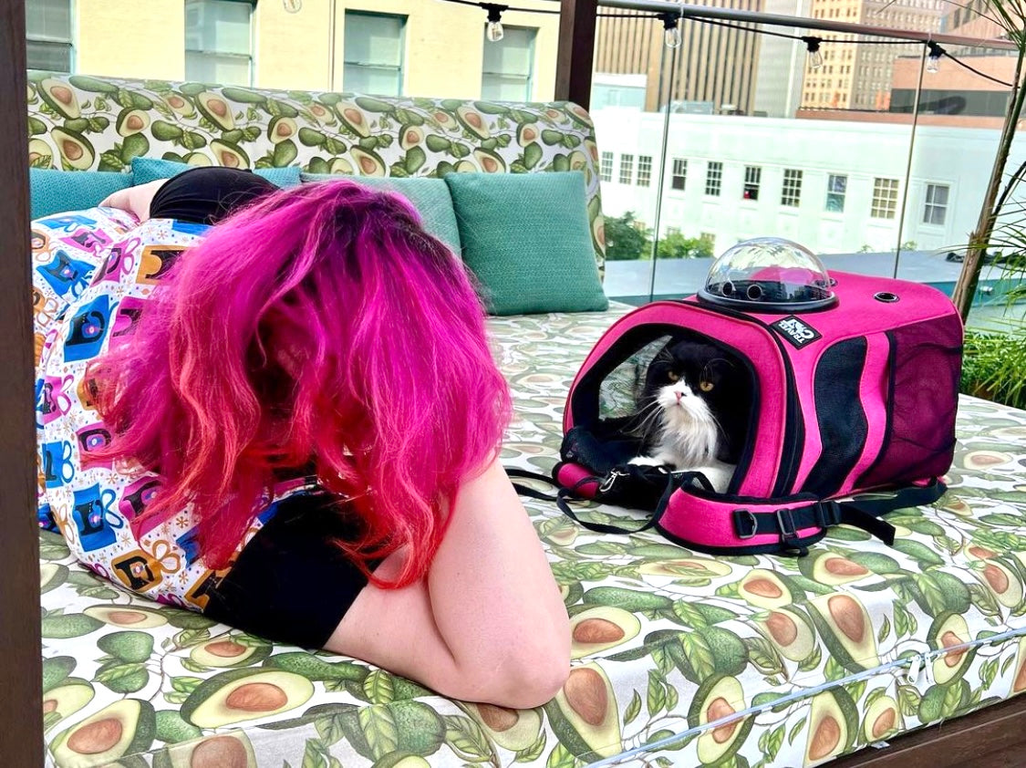 Travel Cat Tuesday: Harley and Lola, a Fashionista Family
