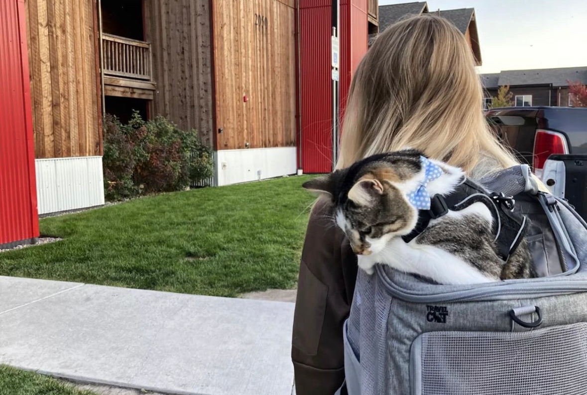 Featured Feline: Beans the National Park Cat