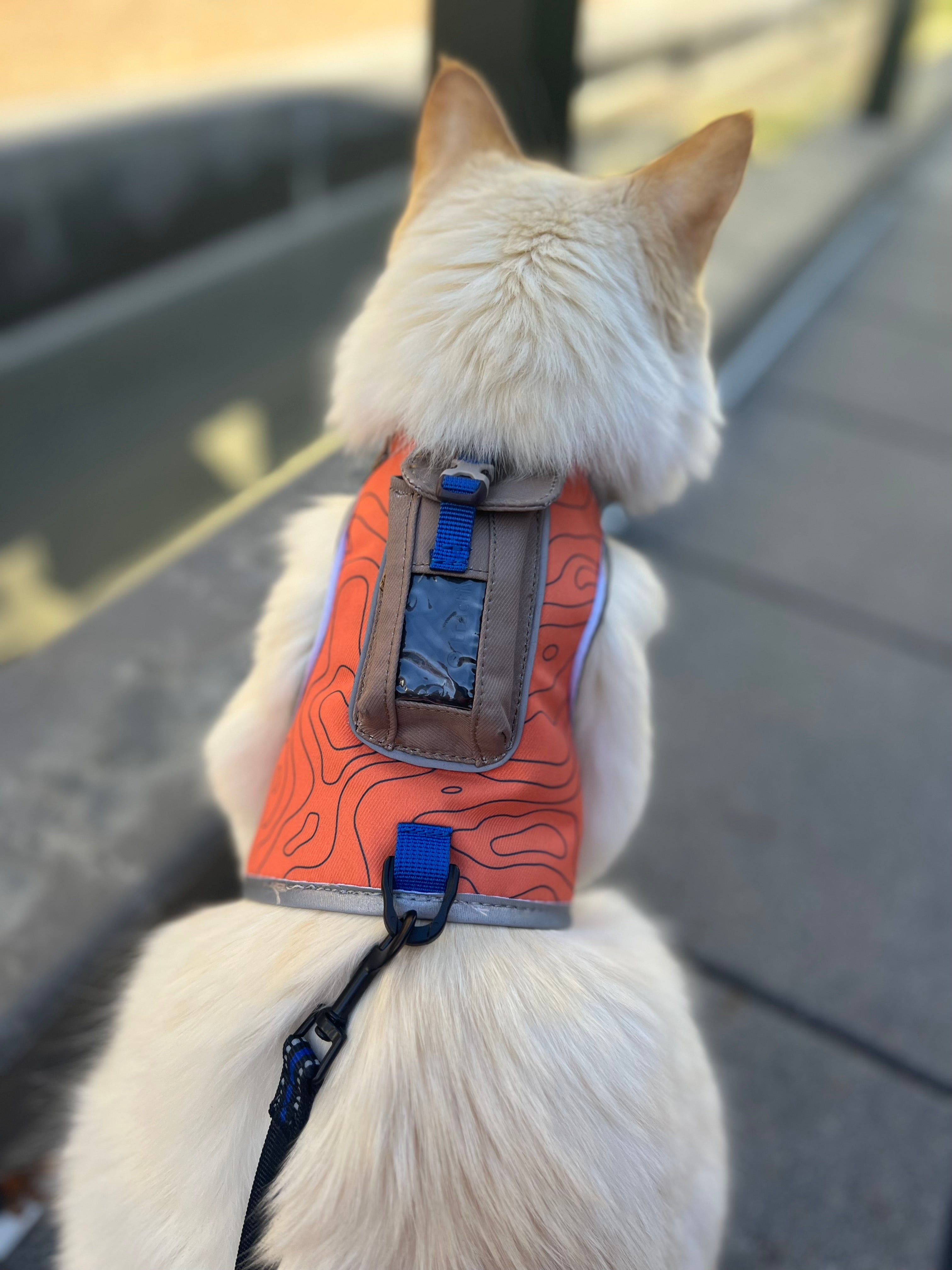 Cat Tracker GPS VS Airtag & Tile