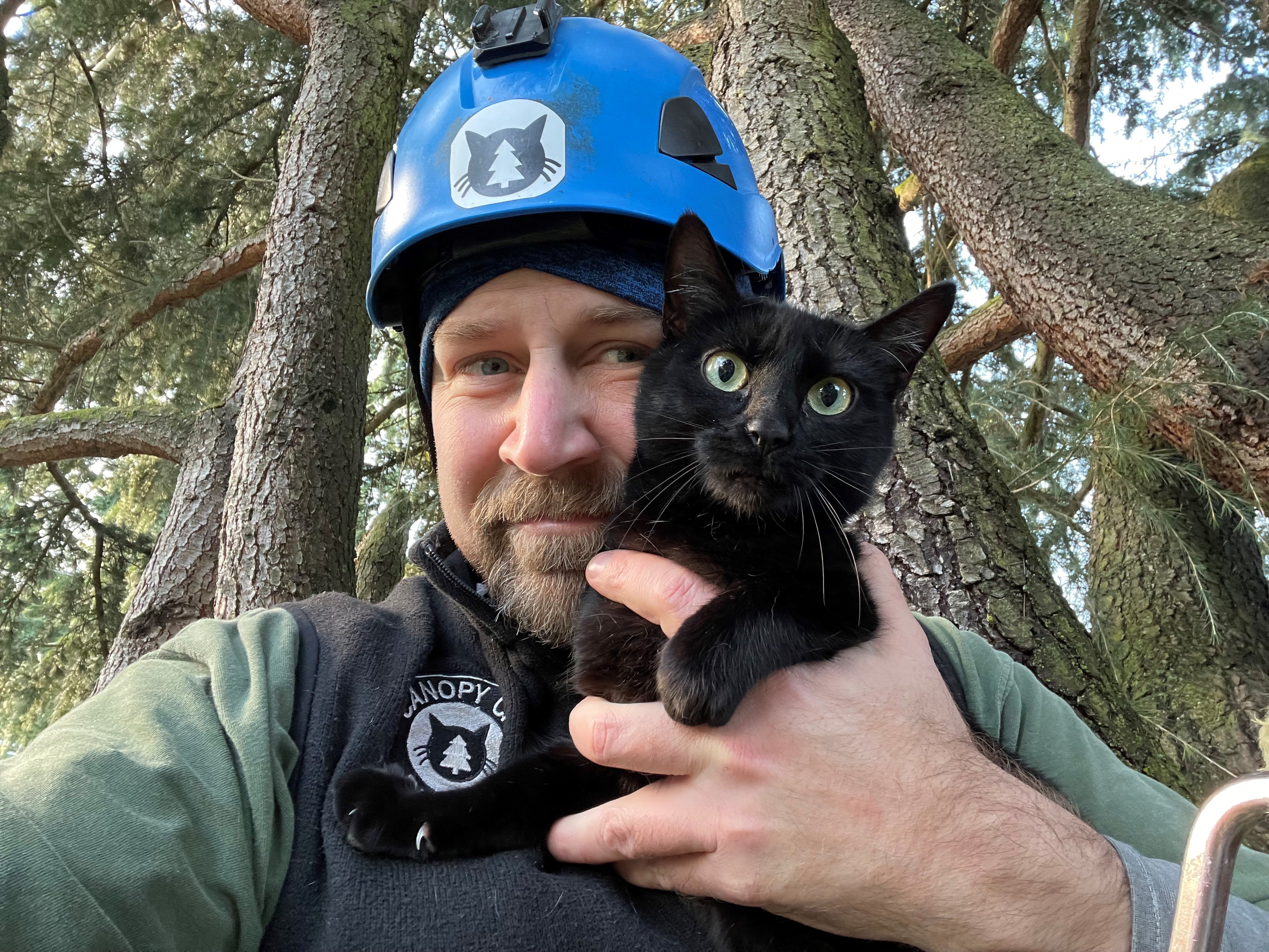 Travel Cat Tuesday: Featuring Canopy Cat Rescue!