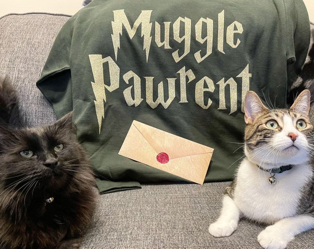 Travel Cat Tuesday: Harry Paw-ter Obsessed Kitties from Canada
