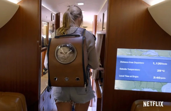 Celebrities Spotted with Cat Backpacks & Outside with Their Cats