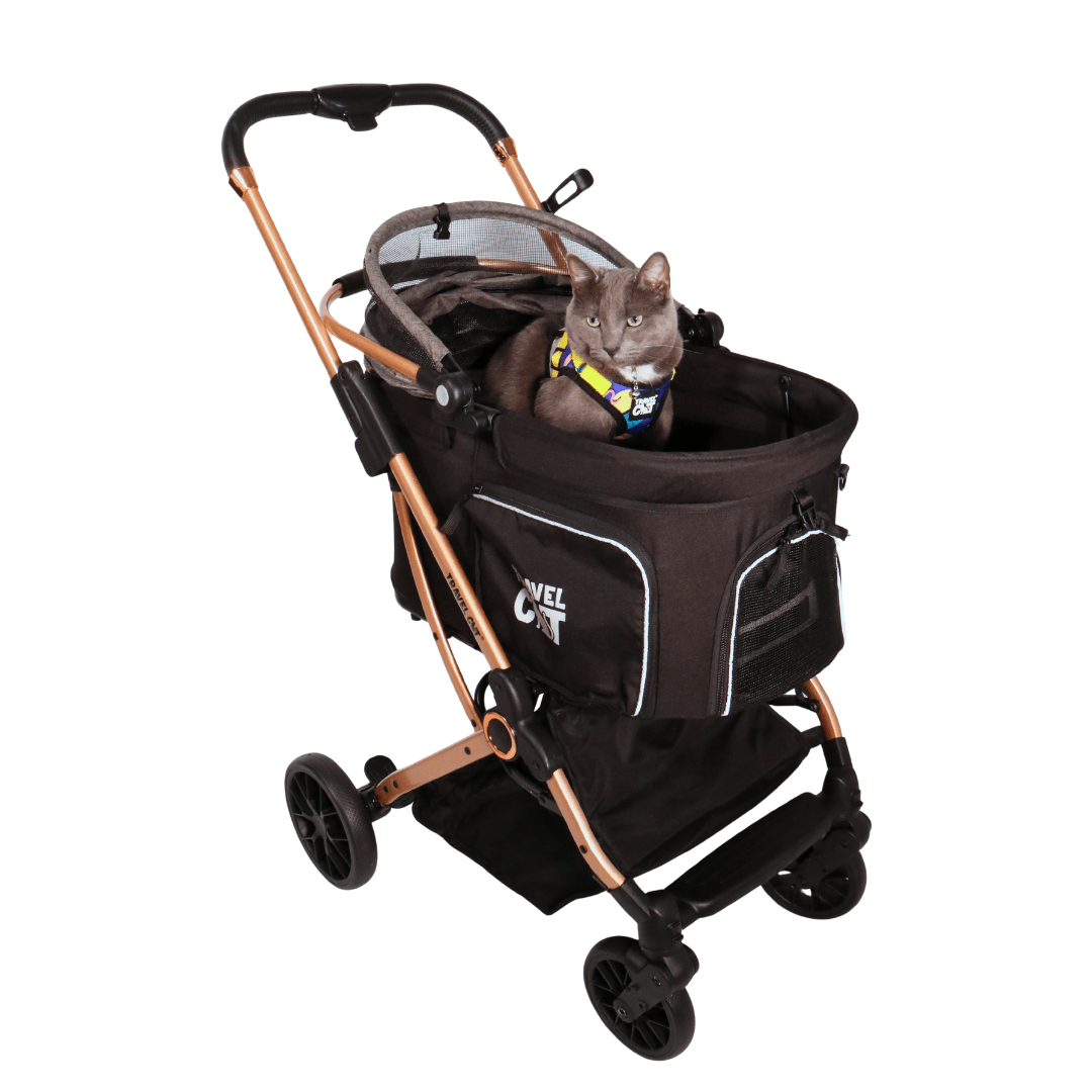 How to Get Your Cat to Love the Stroller