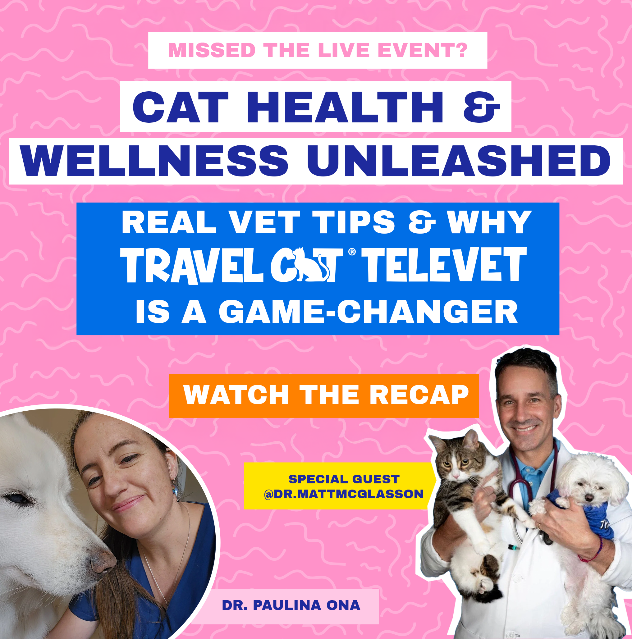 Virtual Vet Talk: Cat Health & Wellness Unleashed 2025