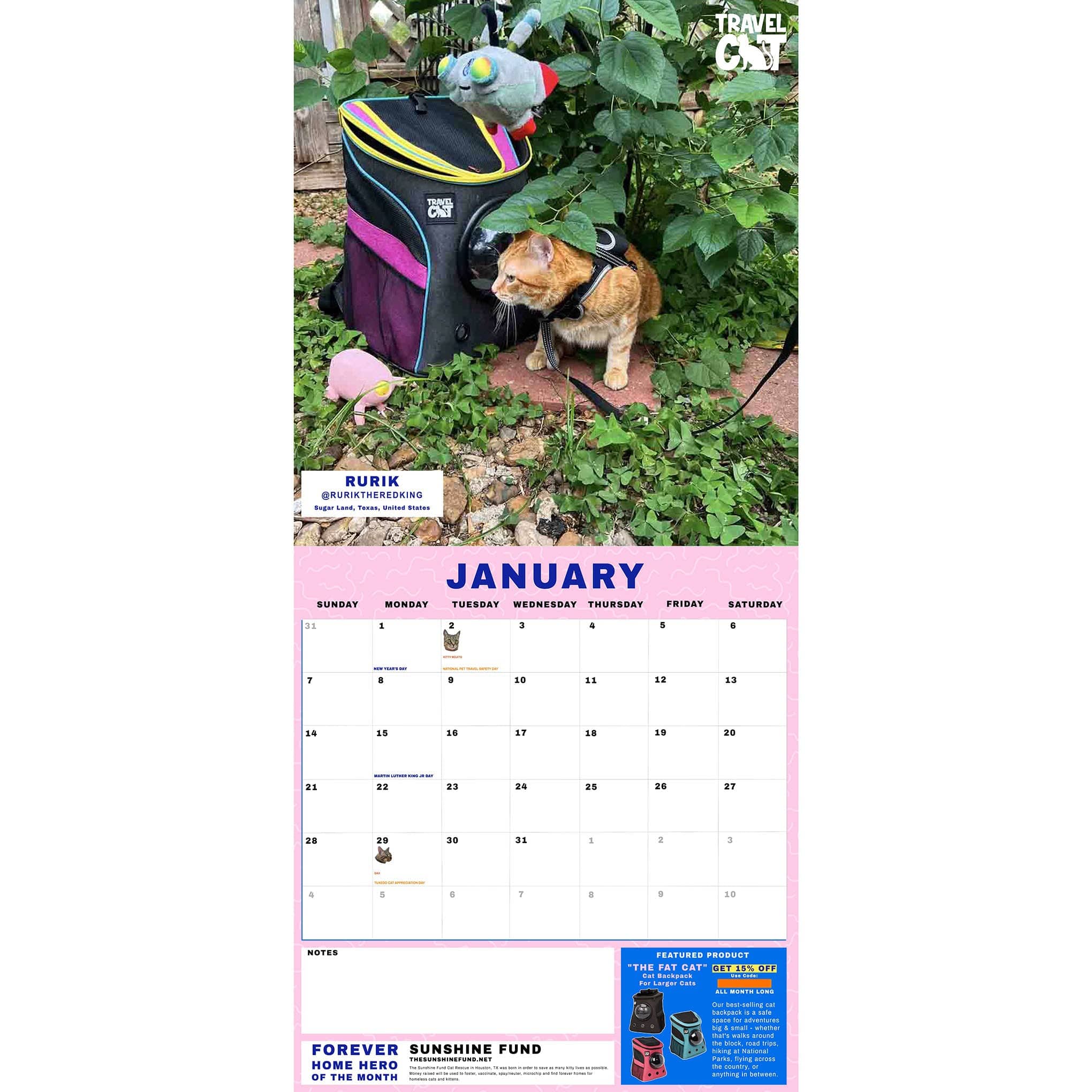 Travel Cat Calendar Supporting Forever Home Heroes 2024