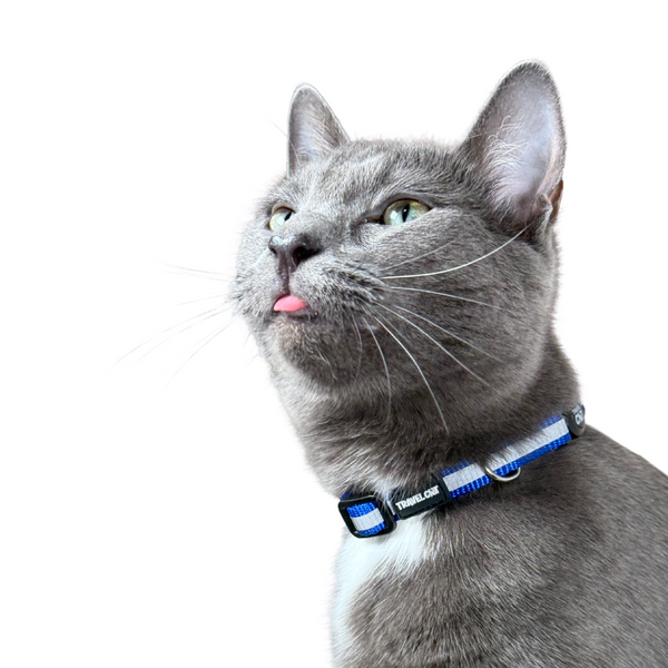 “The Travel Cat” Breakaway Cat Collar