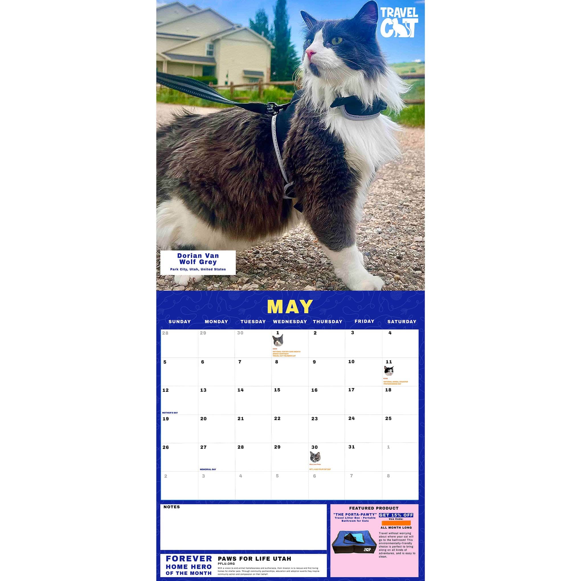 Travel Cat Calendar Supporting Forever Home Heroes 2024