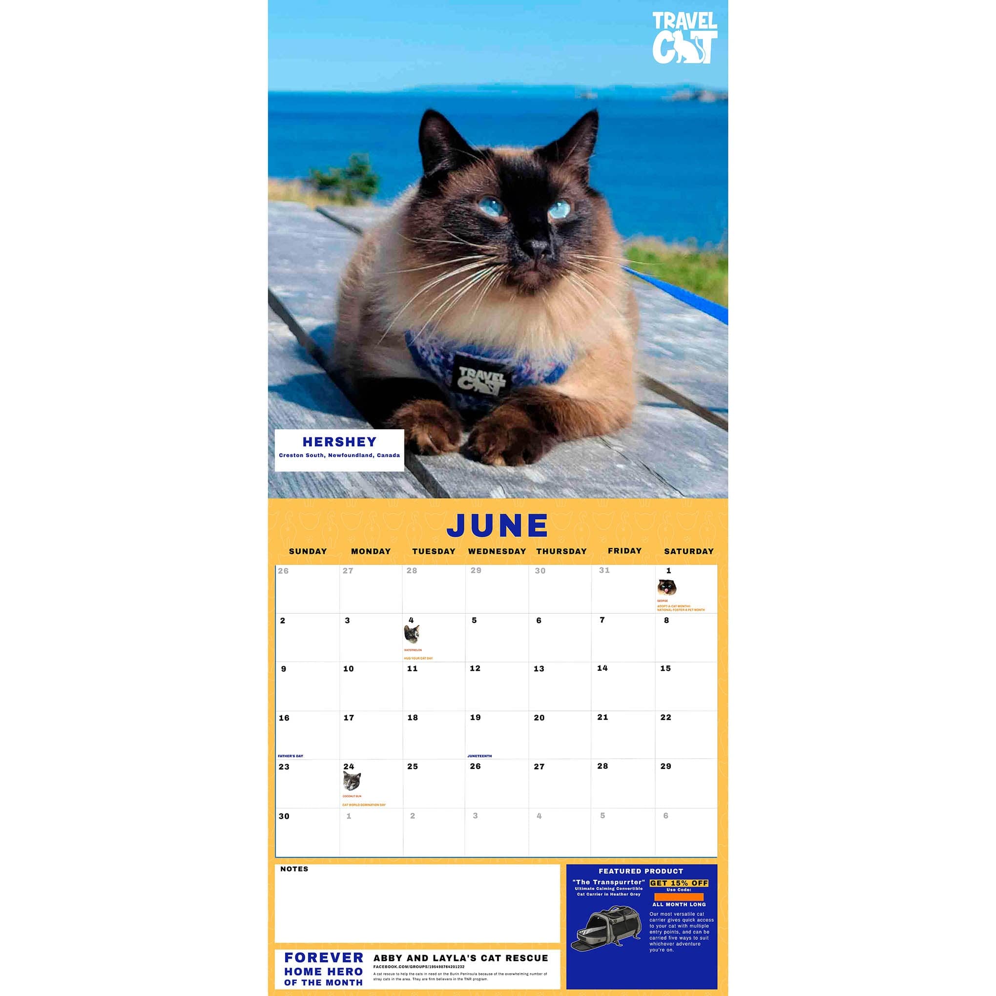 Travel Cat Calendar Supporting Forever Home Heroes 2024