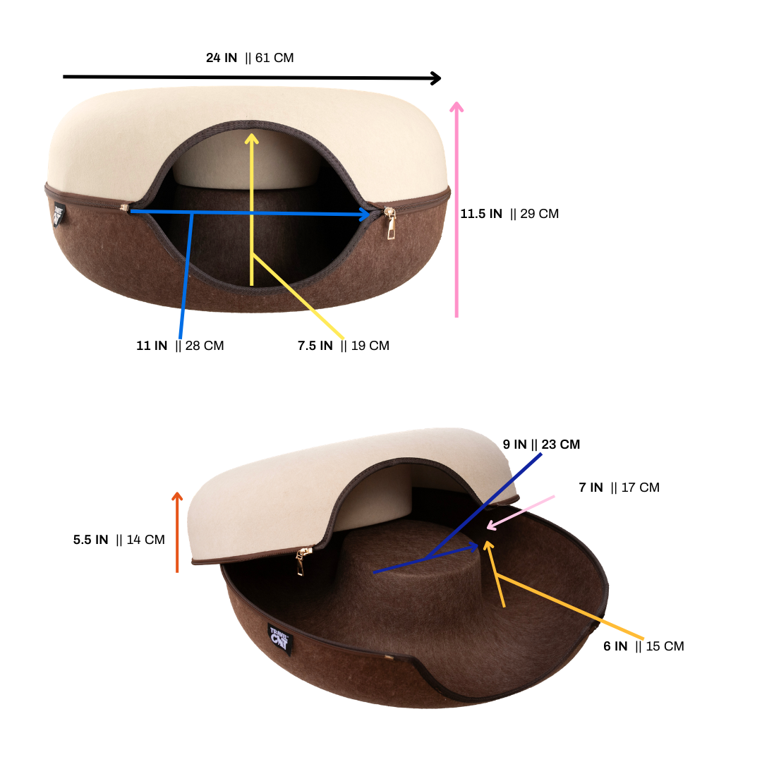 #color_Chocolate & Cream