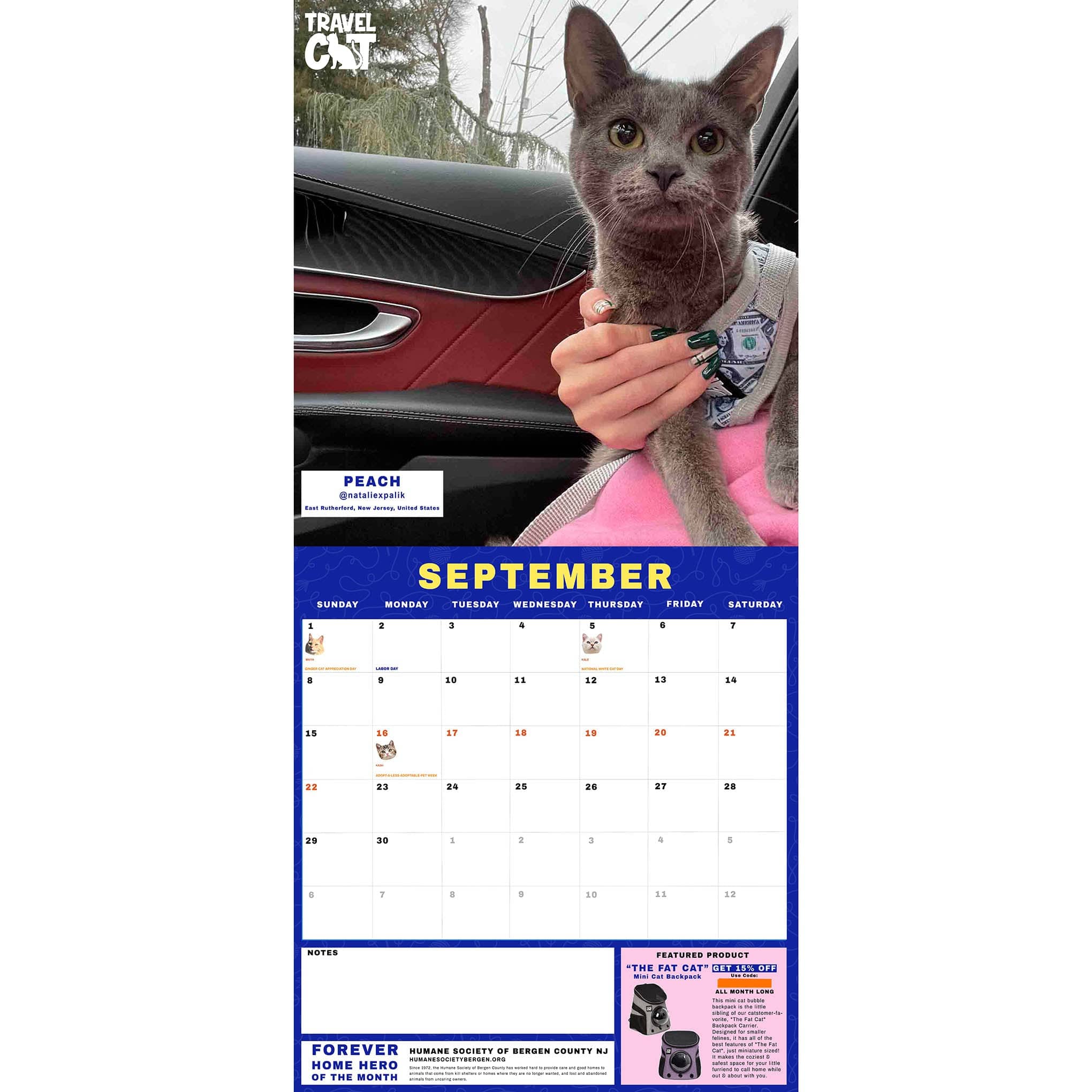 Travel Cat Calendar Supporting Forever Home Heroes 2024