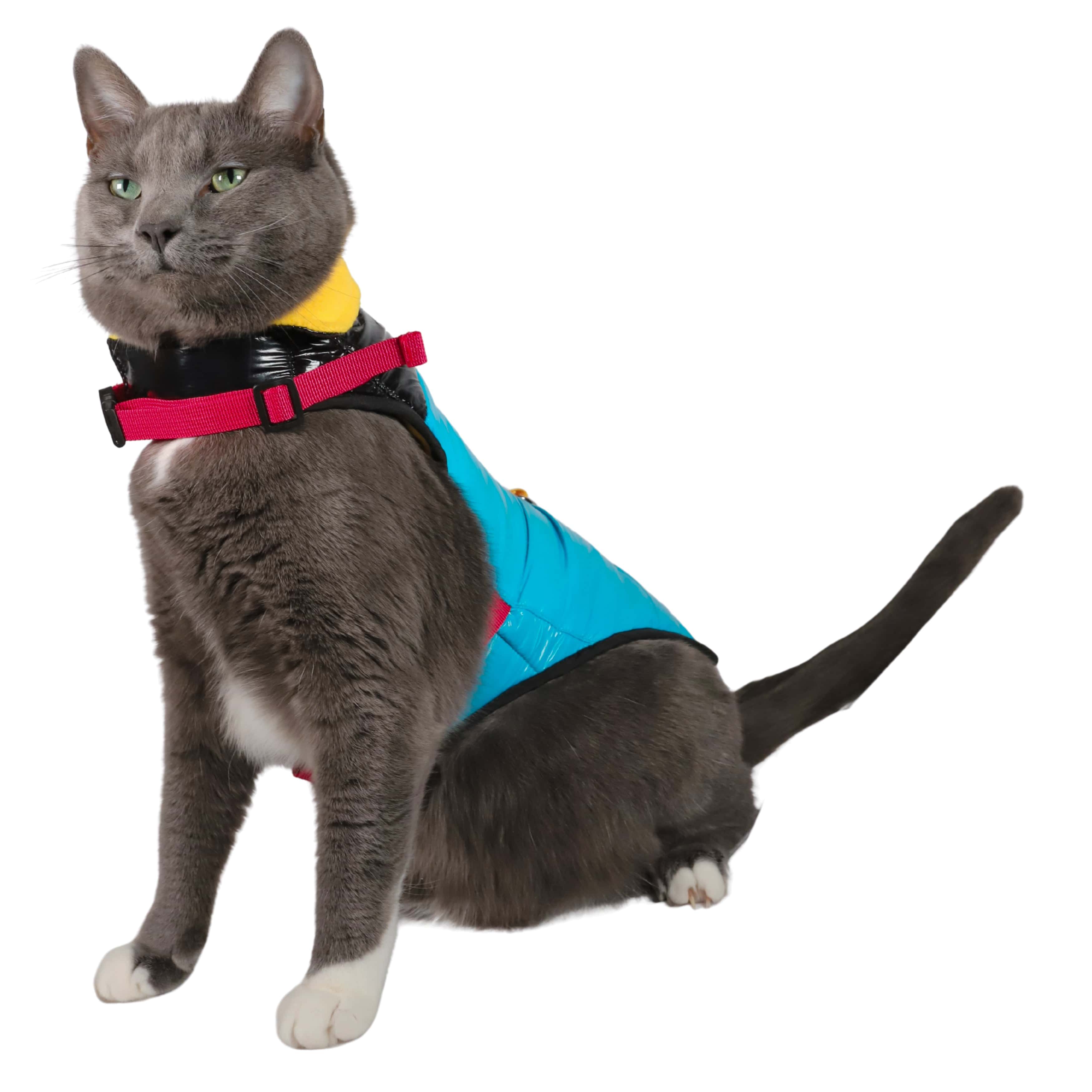 "The Catagonia" Puffer Jacket Harness
