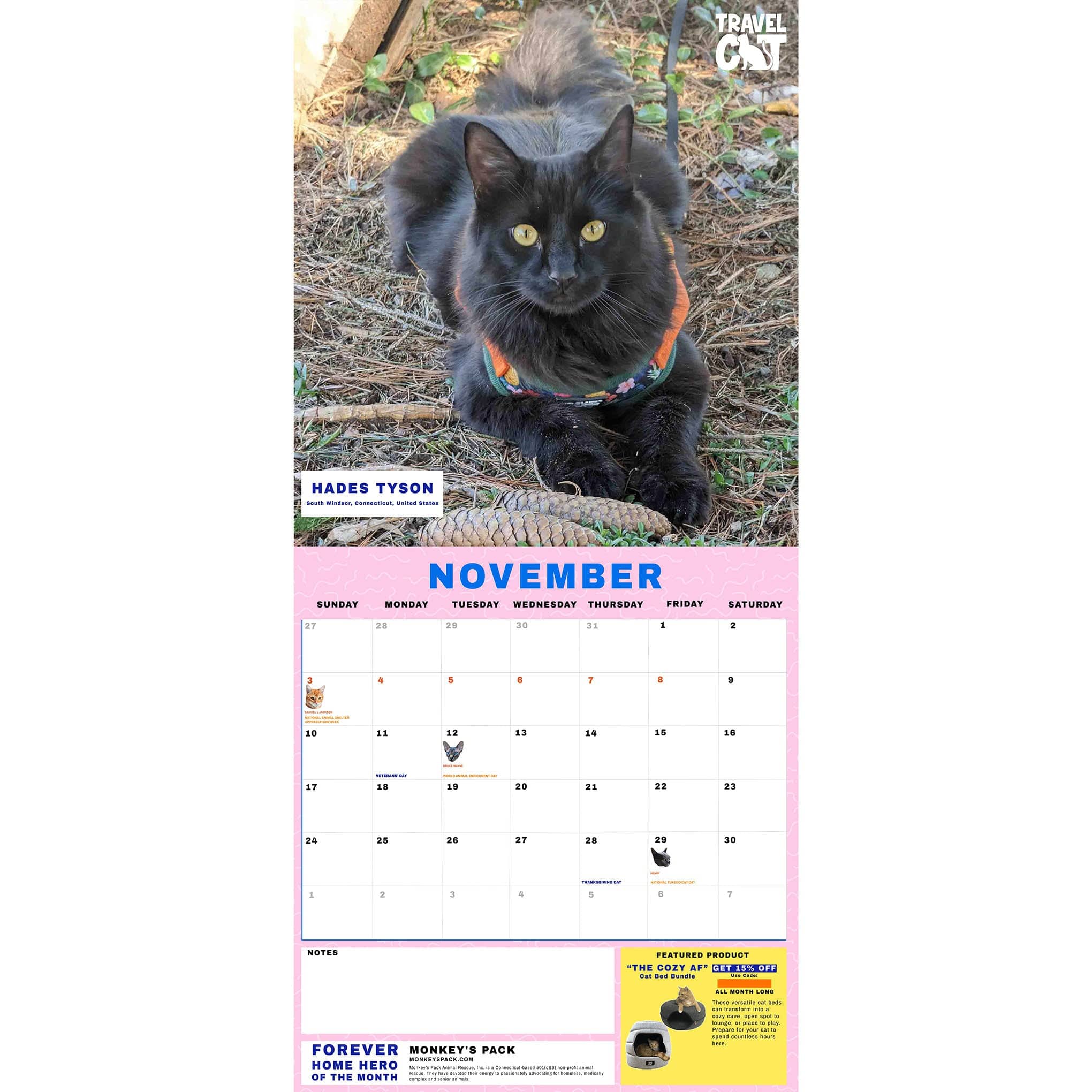 Travel Cat Calendar Supporting Forever Home Heroes 2024
