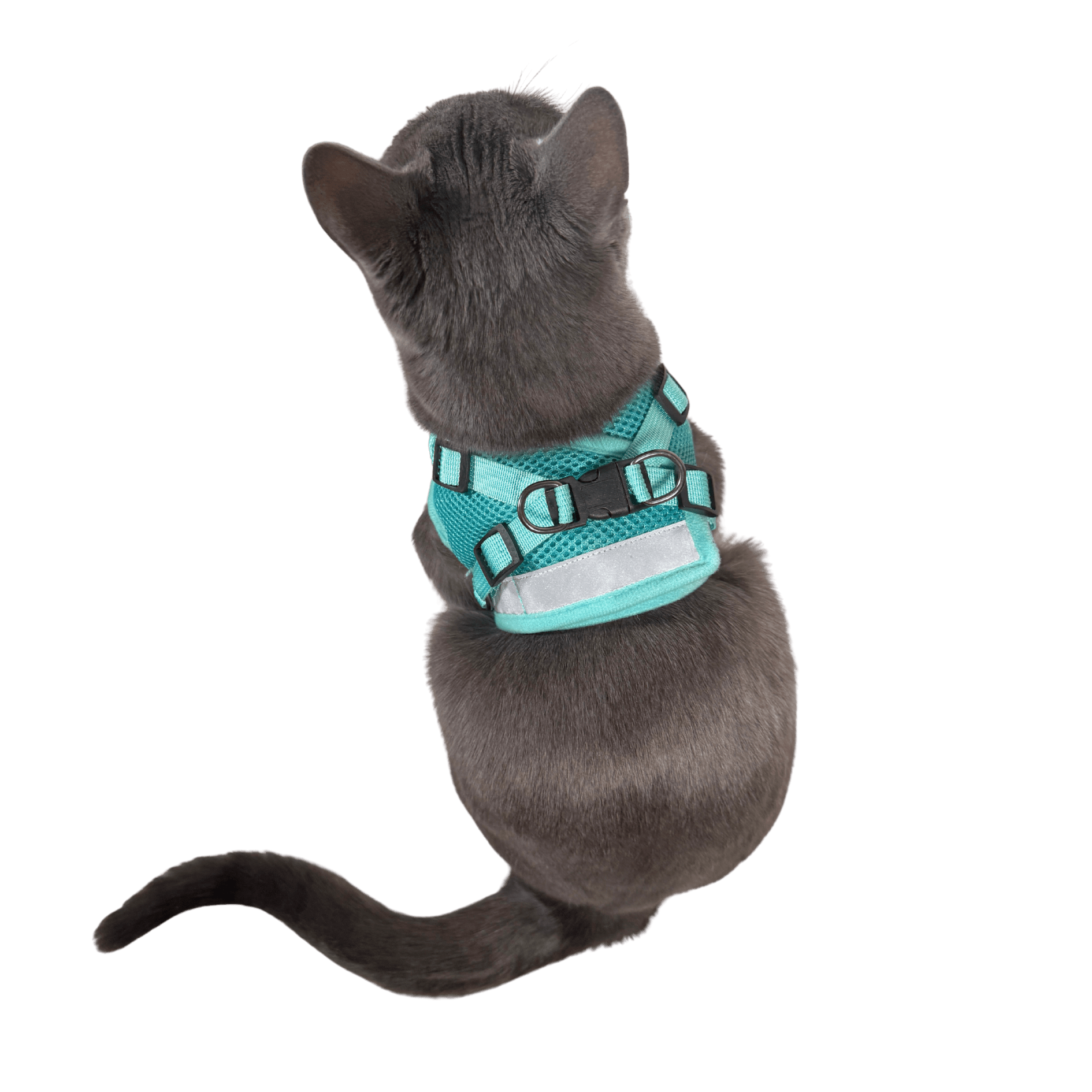 The Jackson Galaxy x Travel Cat Harness & Backpack Bundle