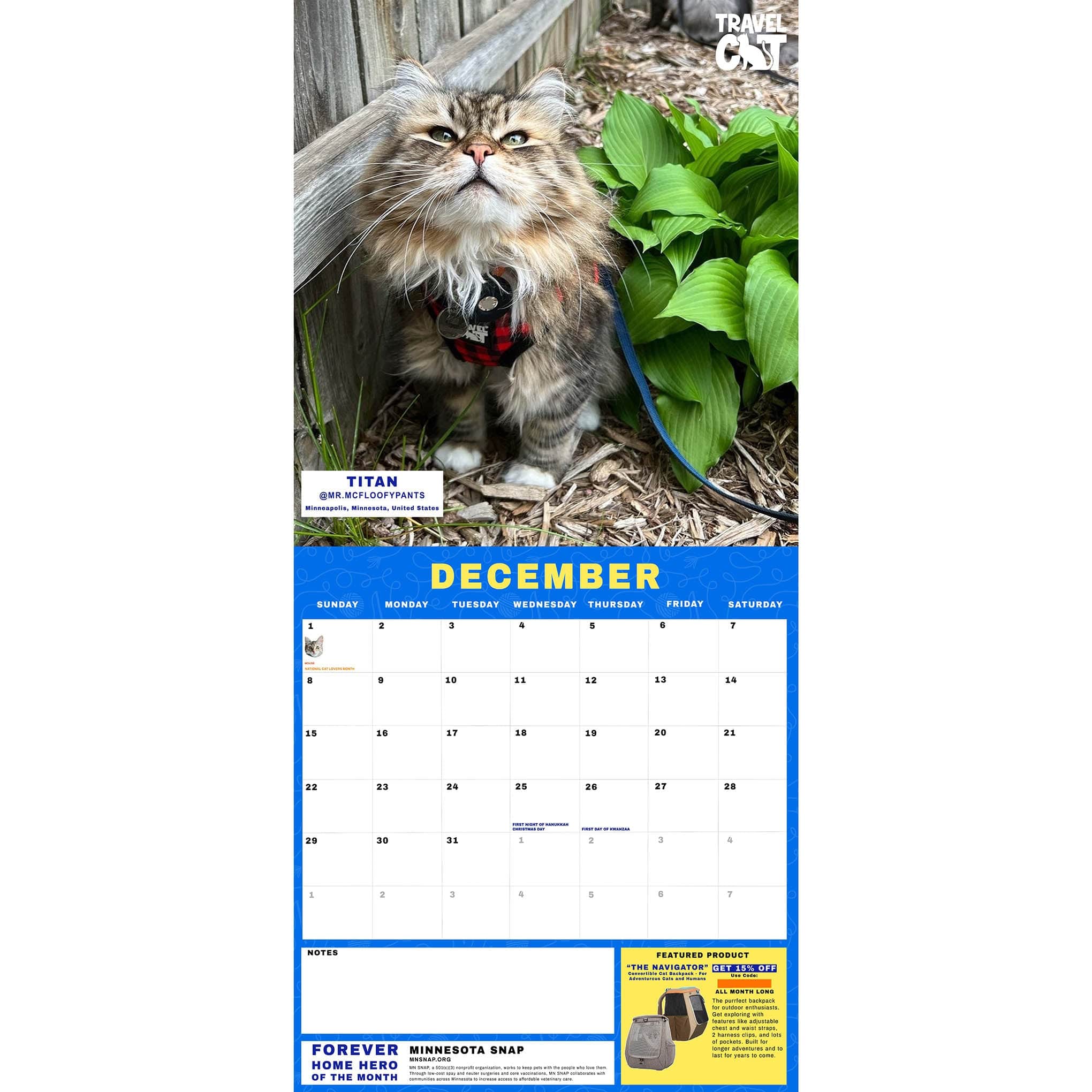 Travel Cat Calendar Supporting Forever Home Heroes 2024
