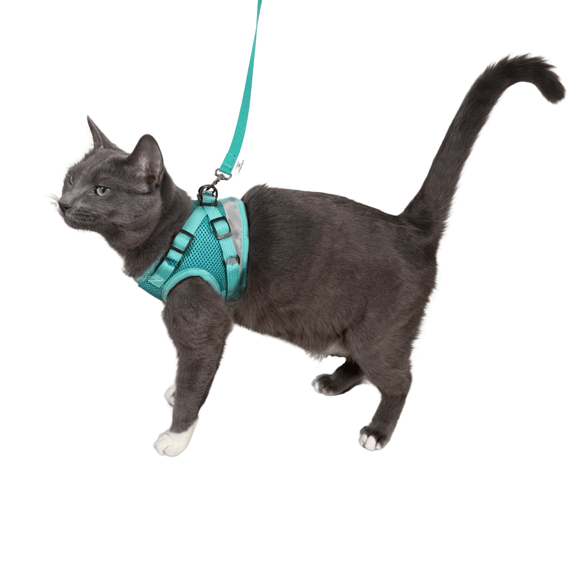 The Jackson Galaxy x Travel Cat Harness & Backpack Bundle