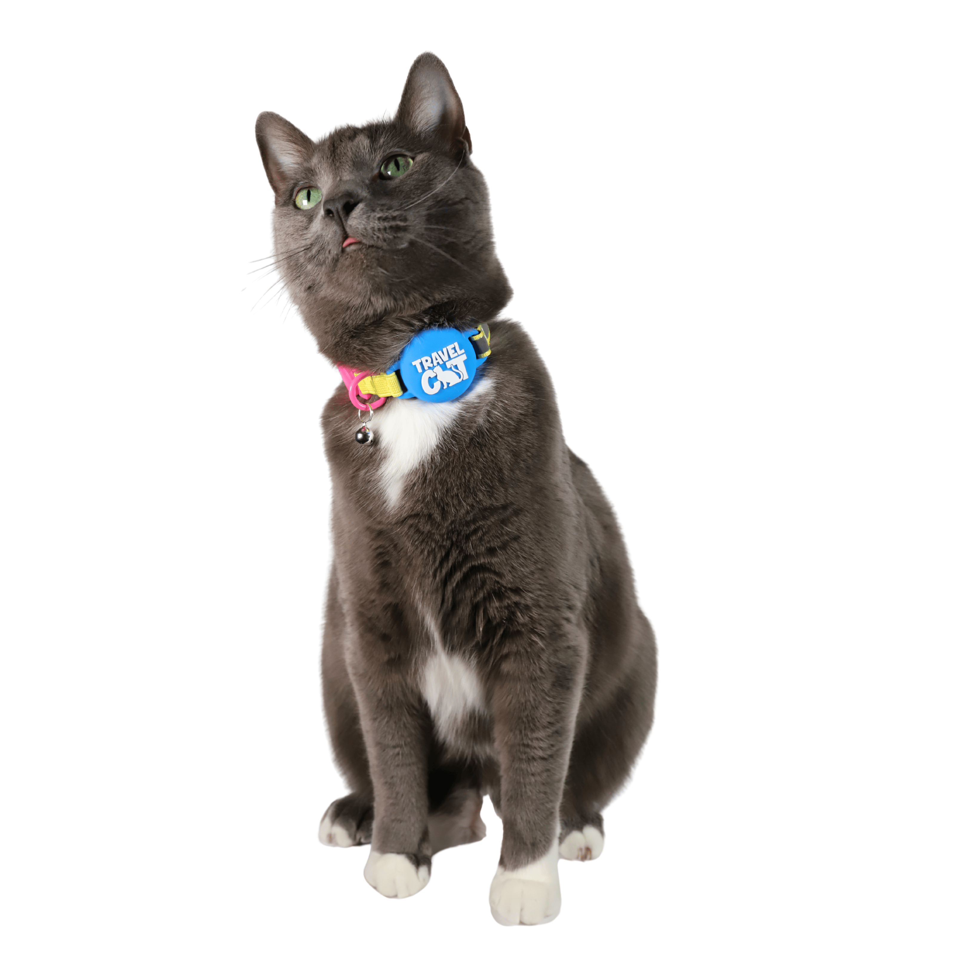 The Travel Cat AirTag Holder Collar