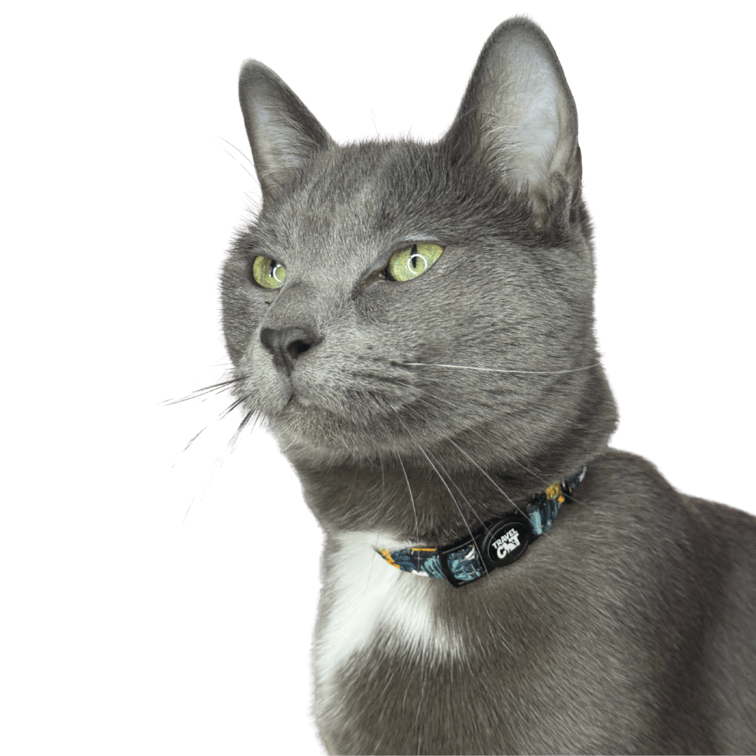 #color_The Hawaiian Shirt