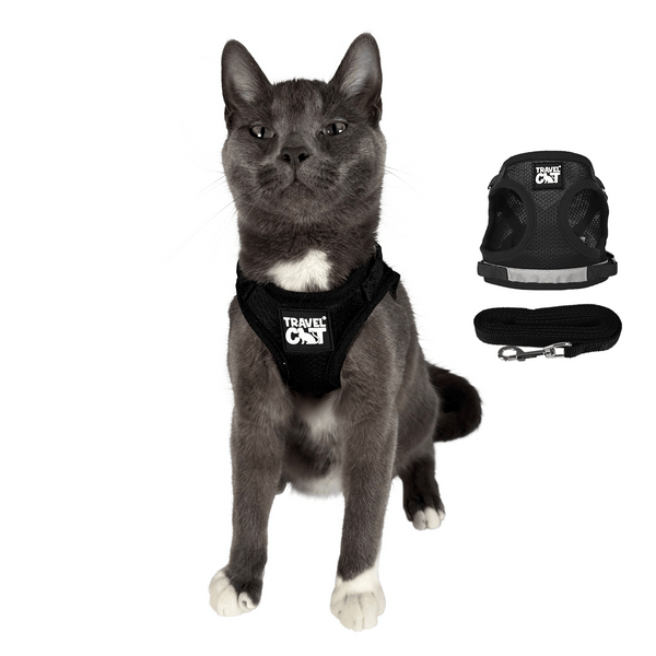 "The True Adventurer" Reflective Cat & Kitten Harness and Leash - Black