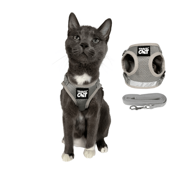 "The True Adventurer" Reflective Cat & Kitten Harness and Leash - Grey
