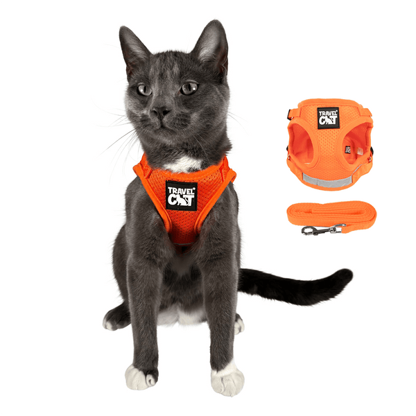 "The True Adventurer" Reflective Cat & Kitten Harness and Leash - Orange