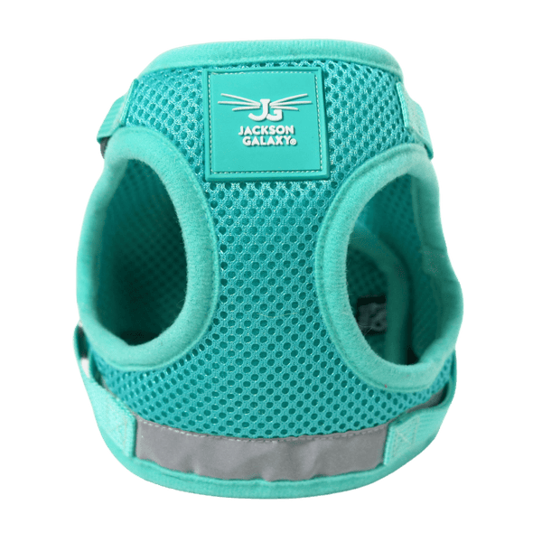 The Jackson Galaxy x Travel Cat Harness & Leash Set