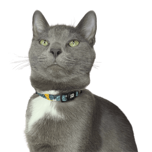 "The Hawaiian Shirt" Breakaway Cat Collar