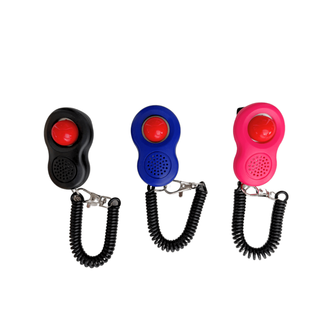"The True Adventurer" Harness and Leash Set & Cat Clicker Set Bundle