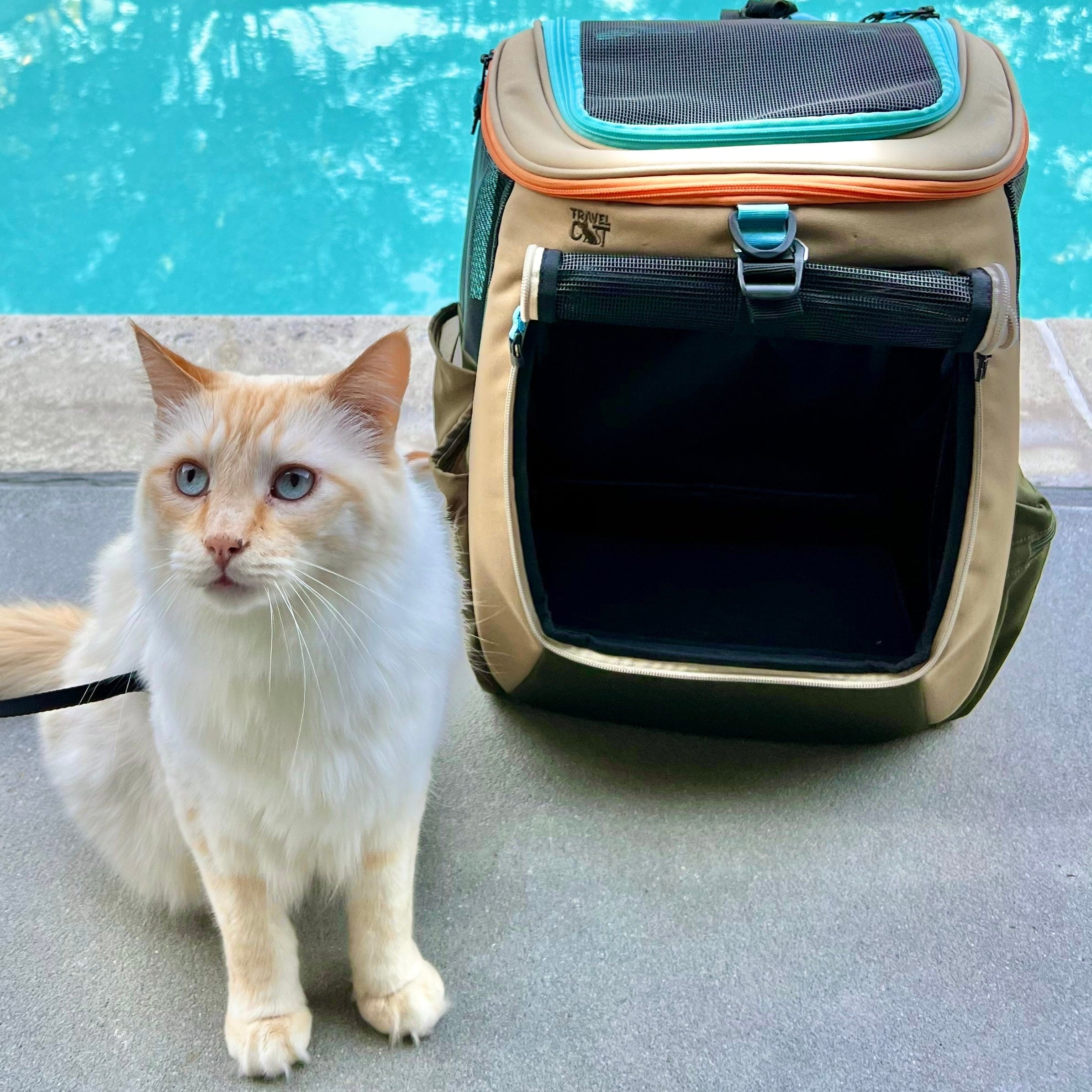 "The Navigator Earth" Convertible Cat Backpack - For Adventurous Cats and Humans