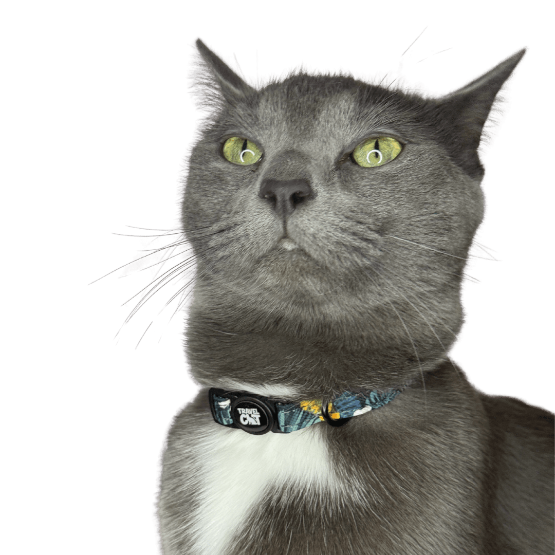 "The Hawaiian Shirt" Breakaway Cat Collar