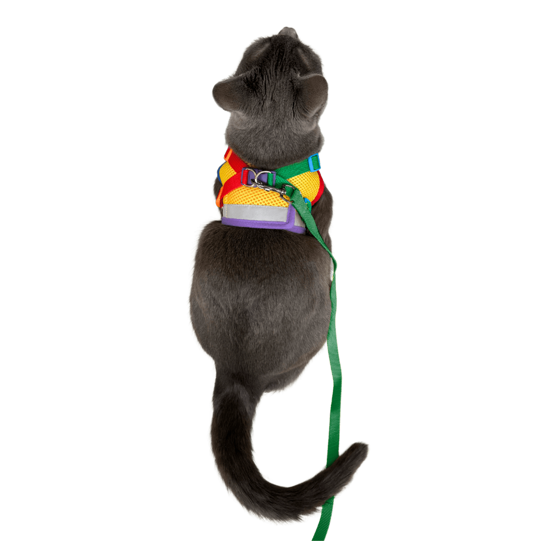 "The True Adventurer" Reflective Cat & Kitten Harness and Leash