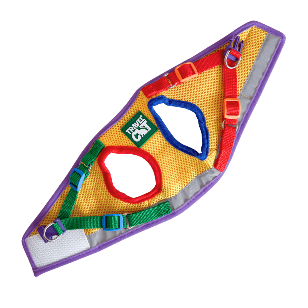 #Color_The Rainbow Cat