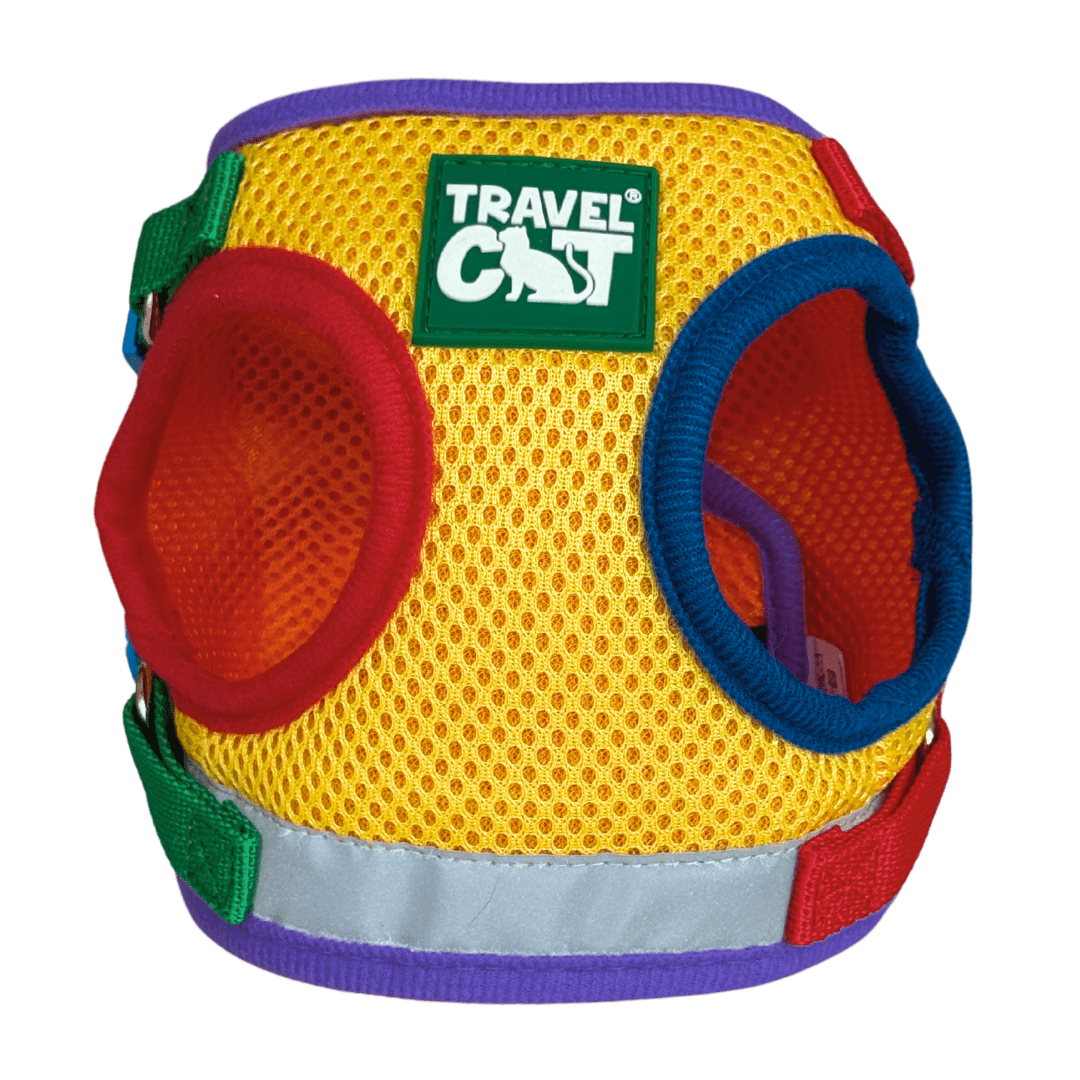 #Color_The Rainbow Cat