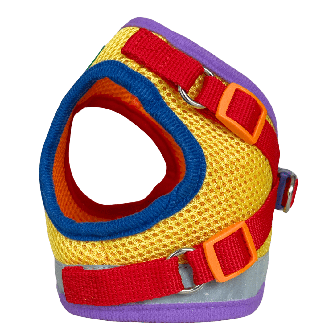 #Color_The Rainbow Cat