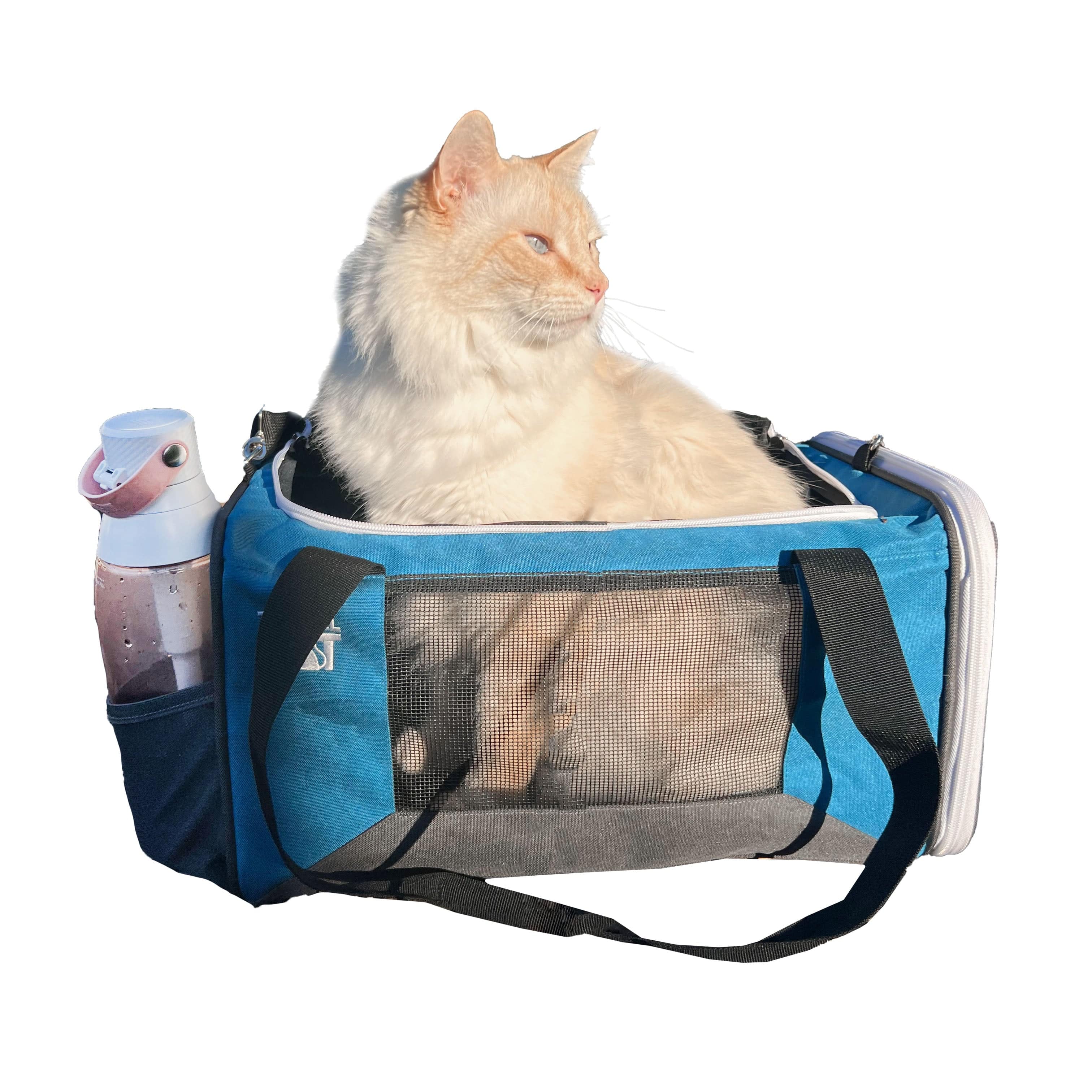"The Odyssey" Soft Cat Carrier for Every Day and Air Travel