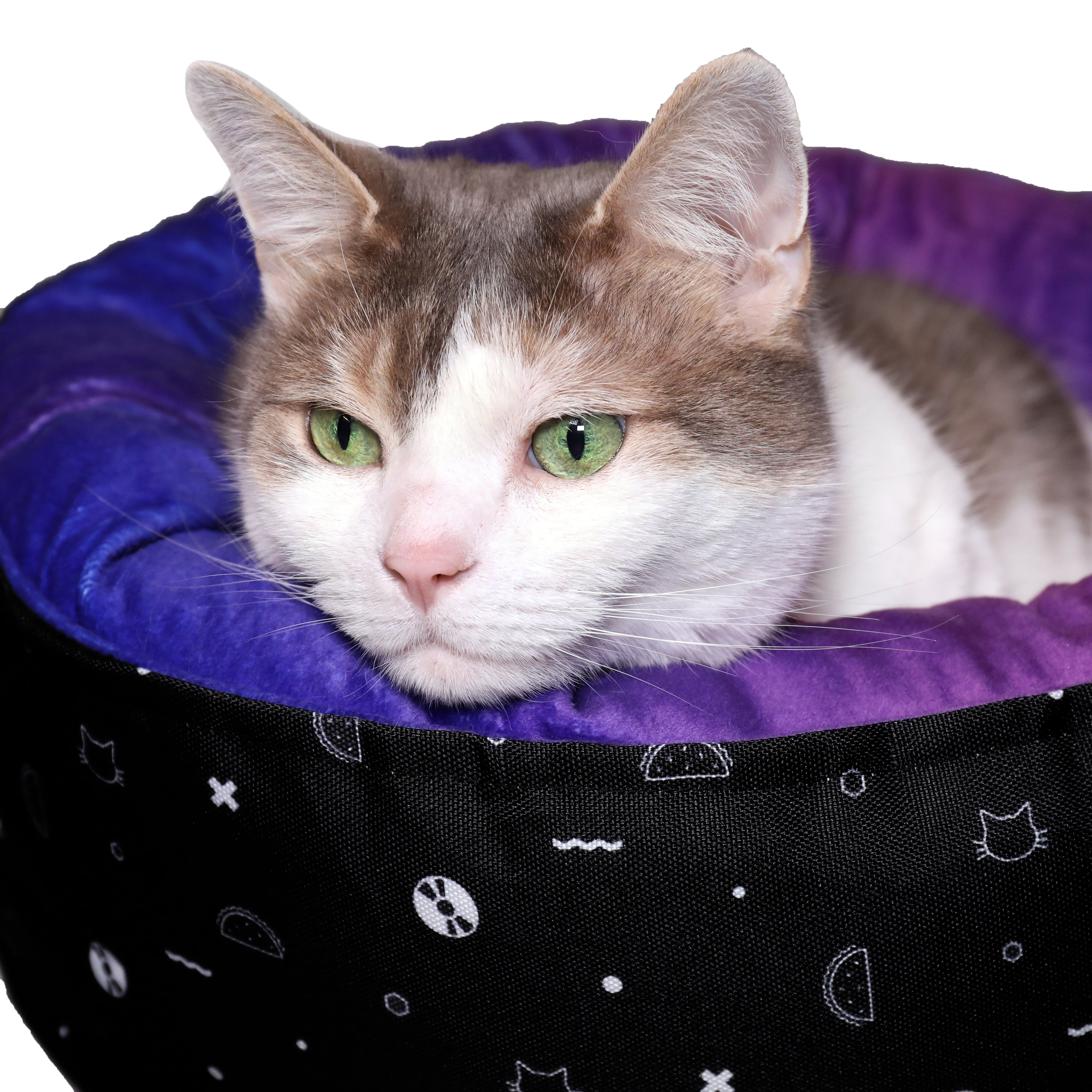 Holo Taco x Travel Cat Cozy Gradient Bed