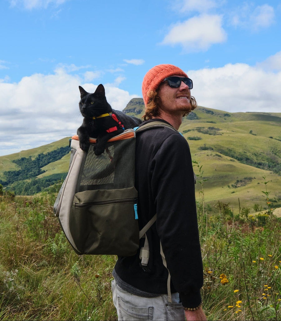 The Best Cat Backpacks to Travel With Your Cat