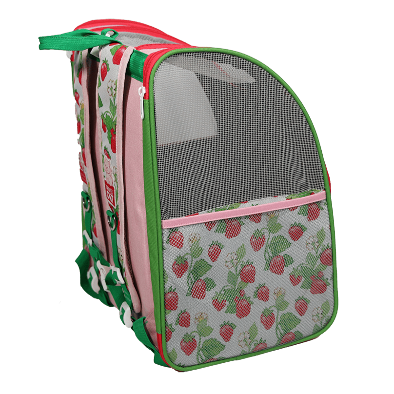 Strawberry Shortcake x Travel Cat Bundle - Officially Licensed