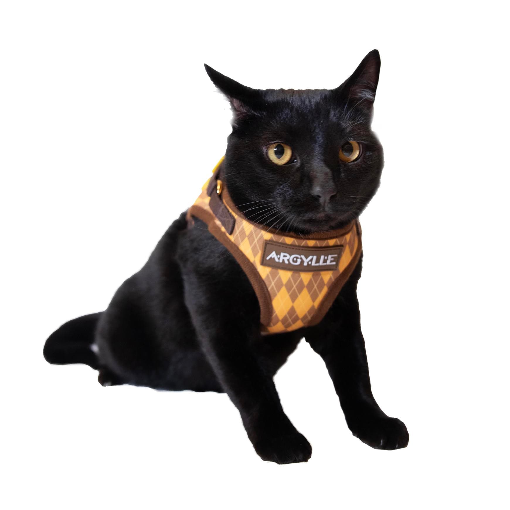 Argylle x Travel Cat Harness & Leash - Officially Licensed