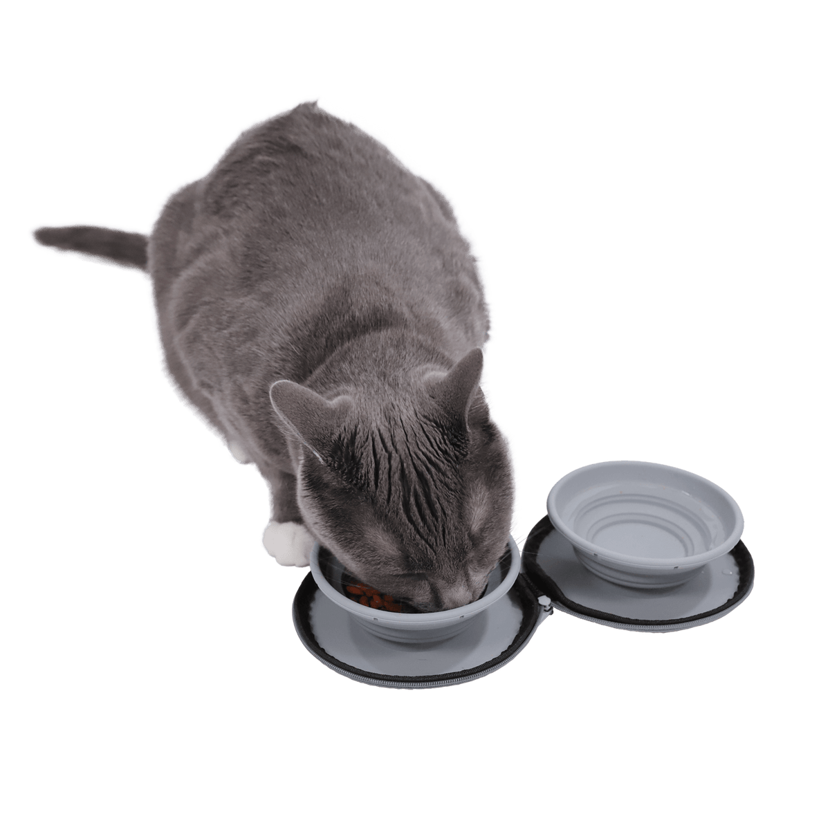 Travel Cat Double Sided Portable Zippered Bowl