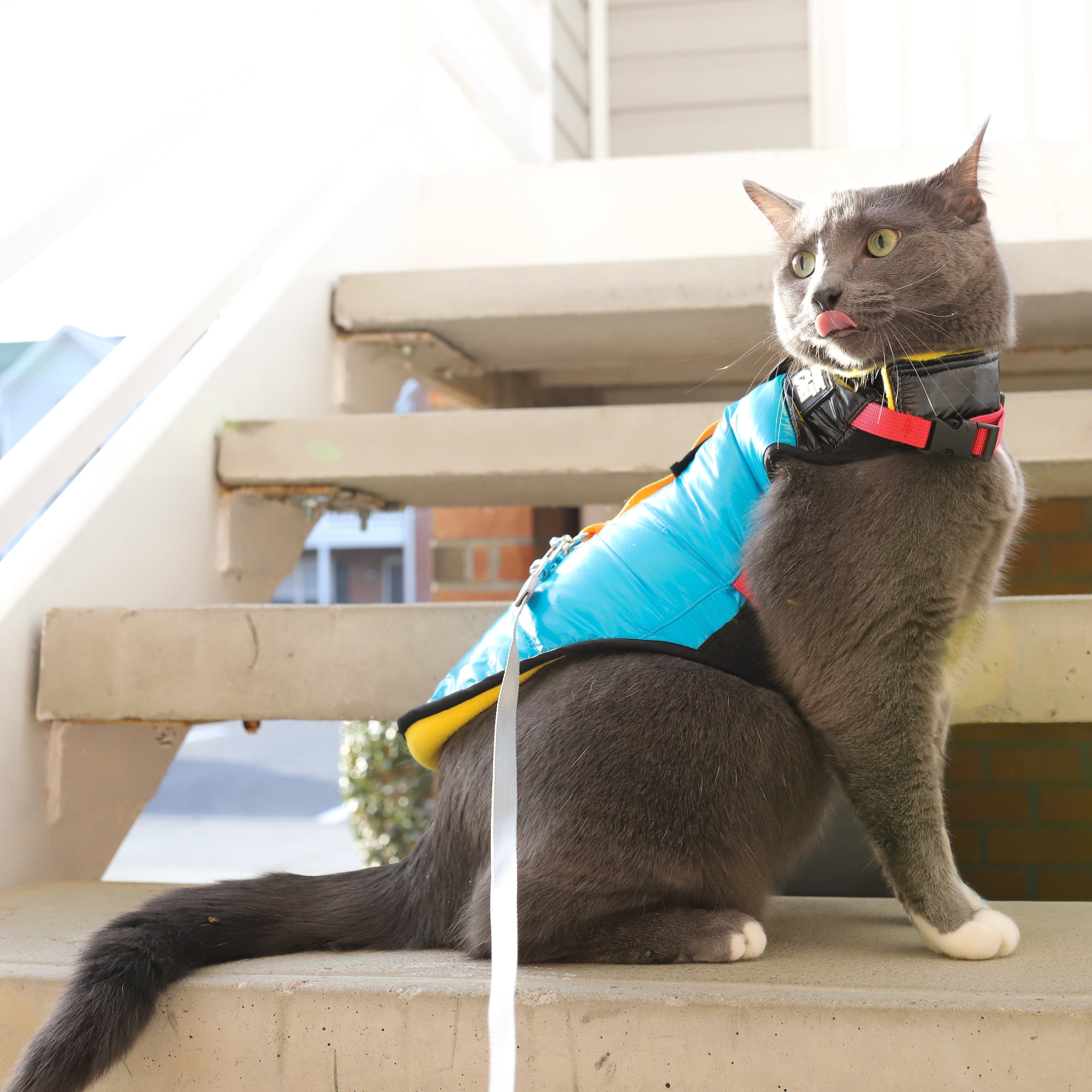 "The Catagonia" Puffer Jacket Harness
