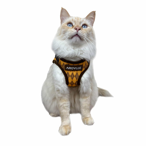 Argylle x Travel Cat Harness & Leash - Officially Licensed - Argylle Blue