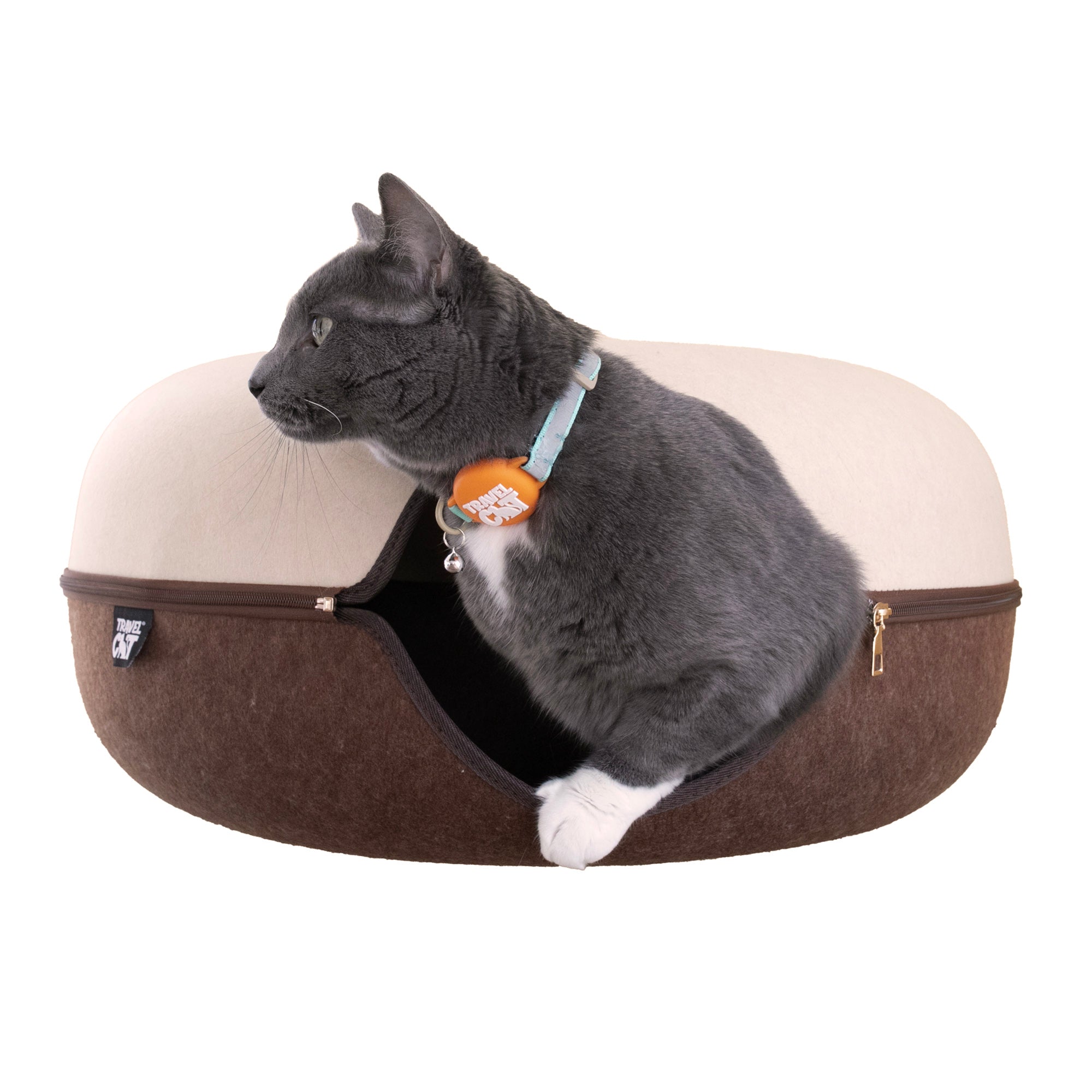 #color_Chocolate & Cream